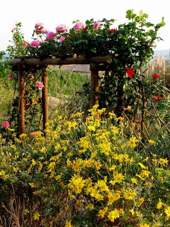 Poggio Della Quercia Βίλα Manciano Εξωτερικό φωτογραφία