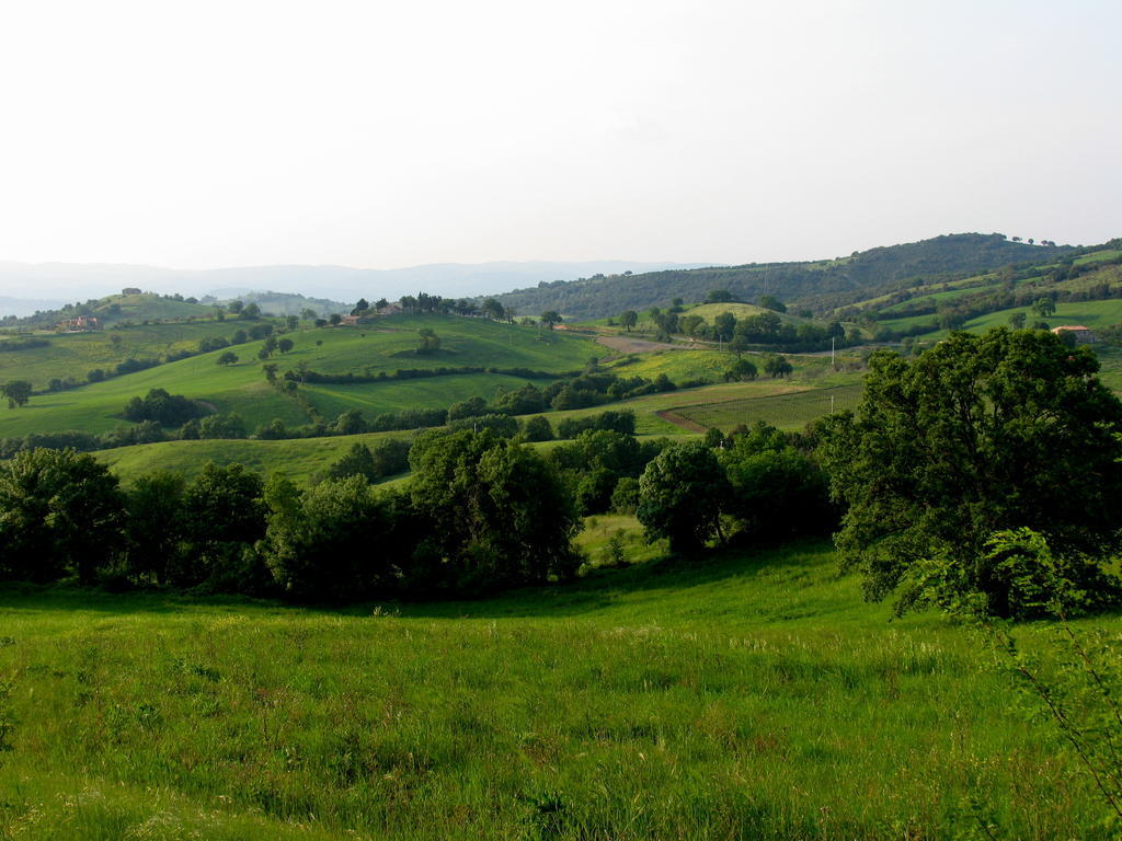 Poggio Della Quercia Βίλα Manciano Εξωτερικό φωτογραφία